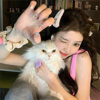 上载新生第三季 在线观看
