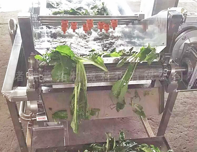 莖菜類(lèi)噴淋清洗機(jī)